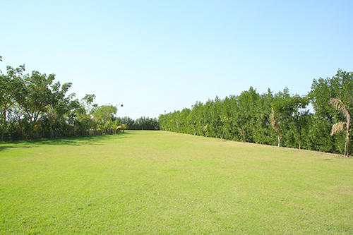 Balaji Dream City | Krishna Smart City - DHOLERA SIR