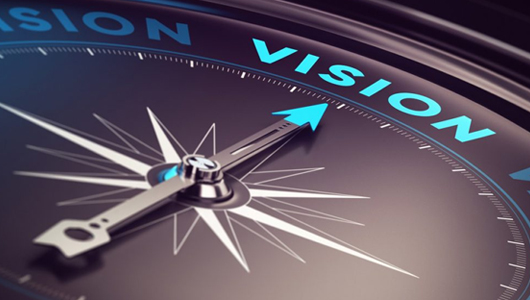 Vision